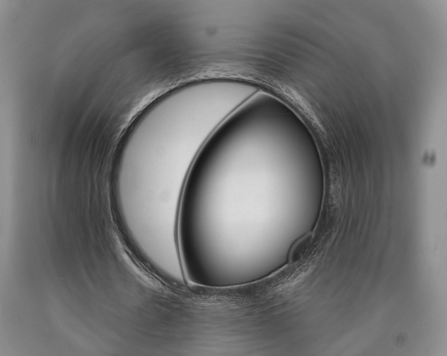 X0000090860530200707270935