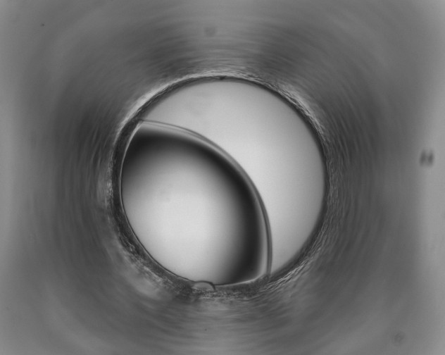 X0000090860532200707270935