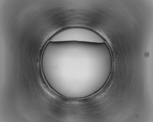 X0000090860533200707270935