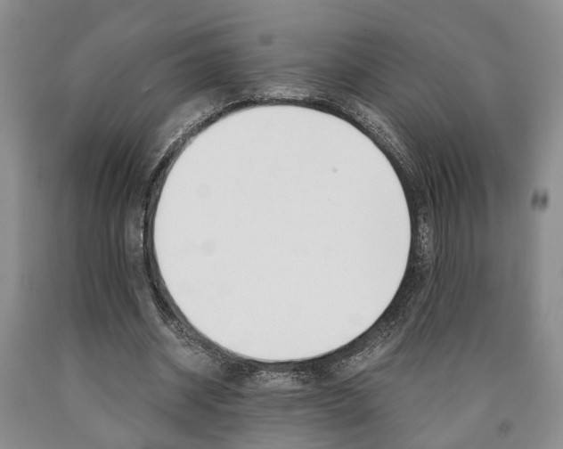 X0000090860534200707270935