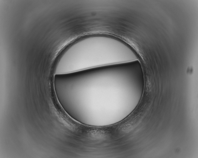 X0000090860535200707270935