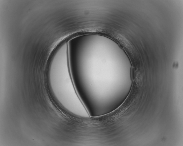 X0000090860536200707270935