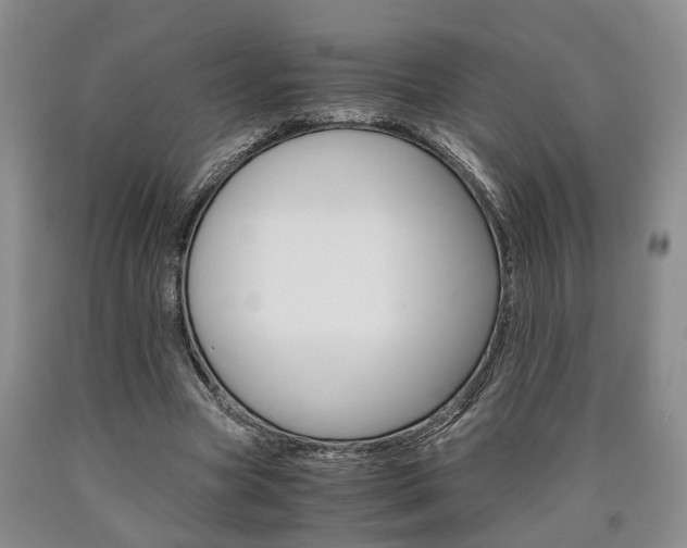 X0000090860537200707270935