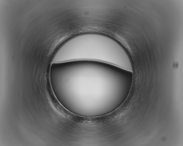 X0000090860538200707270935