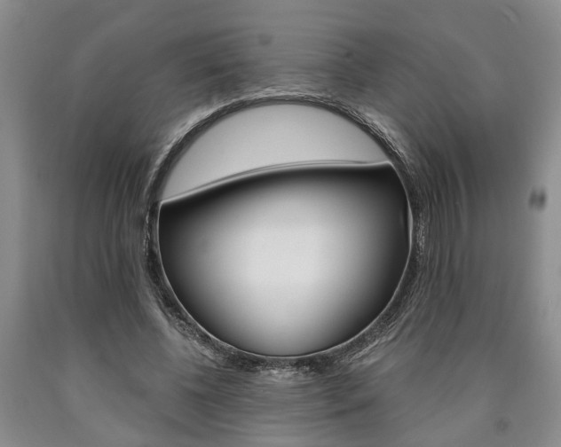 X0000090860540200707270936