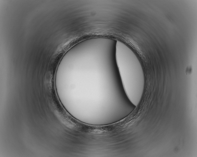 X0000090860542200707270936