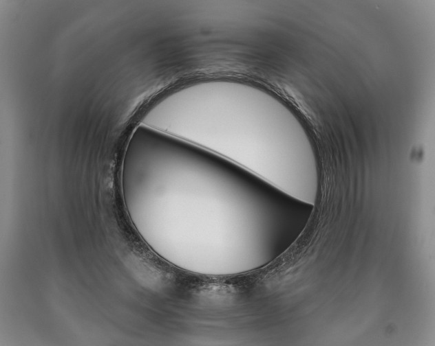 X0000090860543200707270936