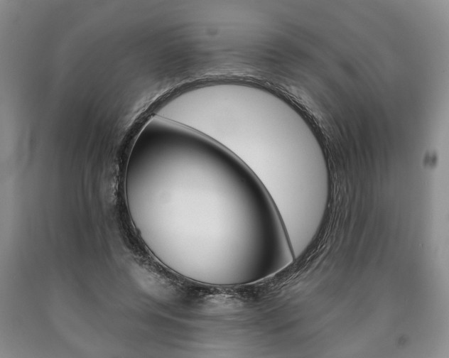 X0000090860544200707270936