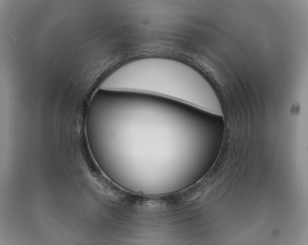 X0000090860546200707270936
