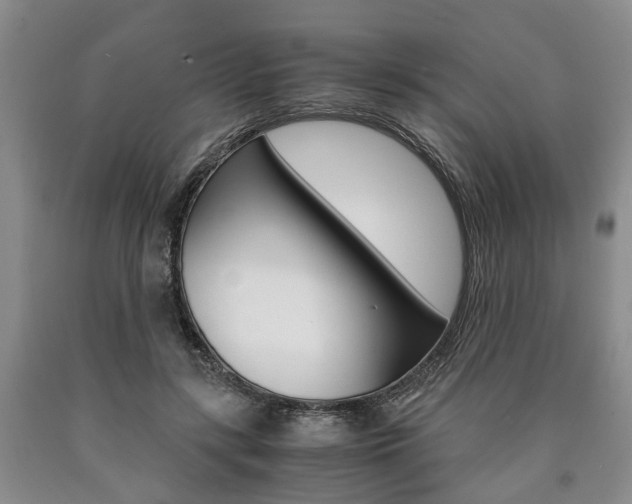 X0000090860547200707270936