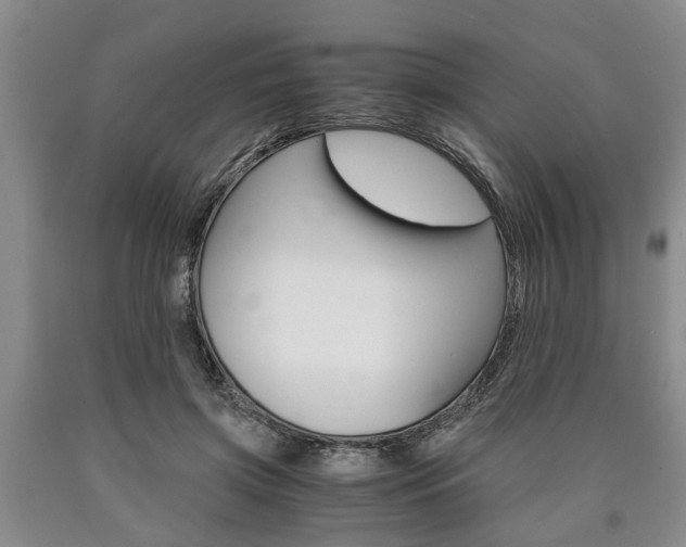 X0000090860549200707270936