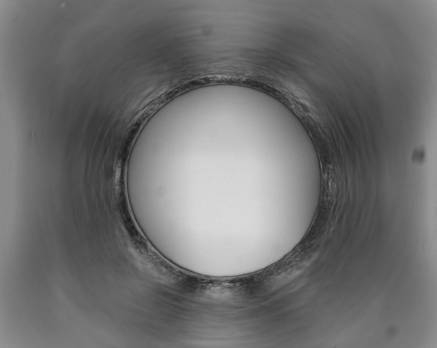 X0000090860550200707270936