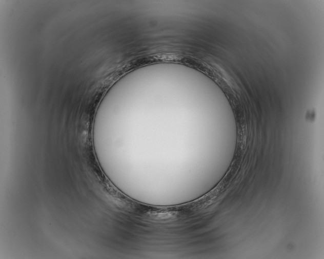 X0000090860553200707270936