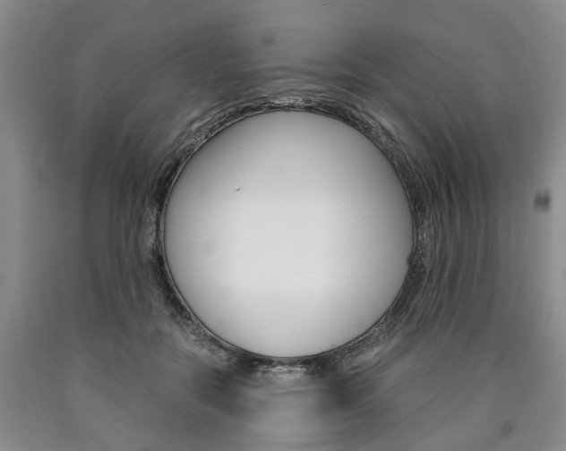 X0000090860554200707270936