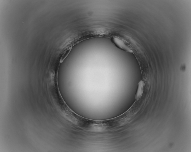 X0000090860556200707270936