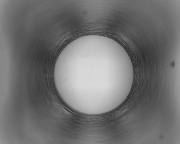 X0000090860558200707270936