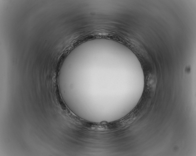 X0000090860559200707270936