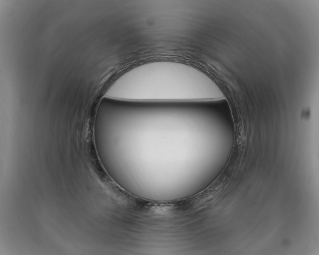 X0000090860560200707270936