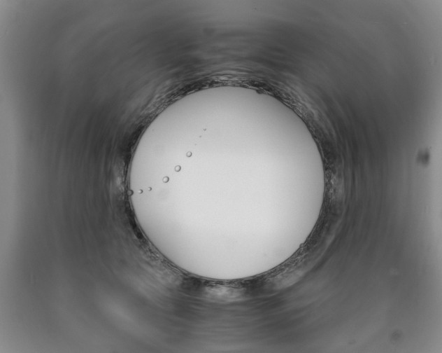 X0000090860561200707270936