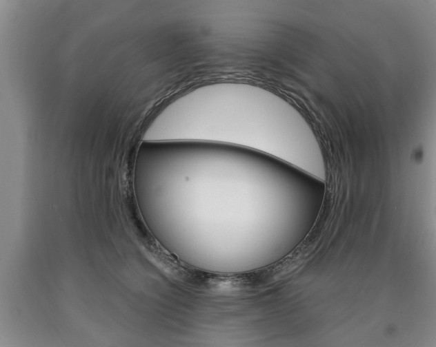 X0000090860564200707270936