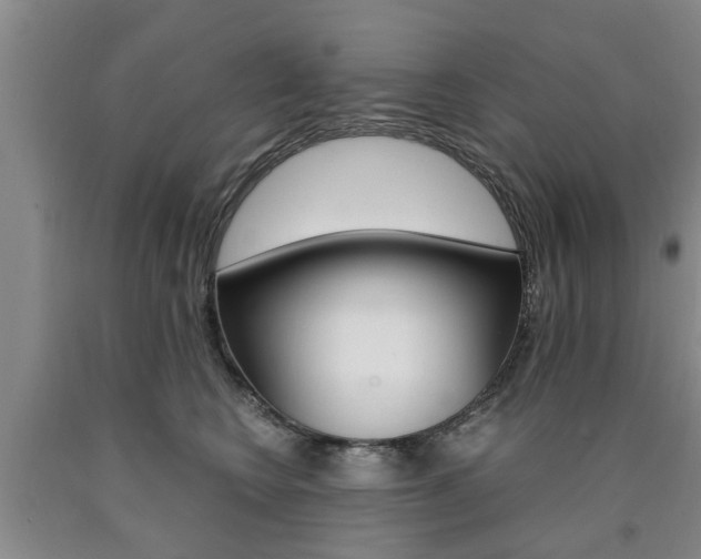 X0000090860566200707270936