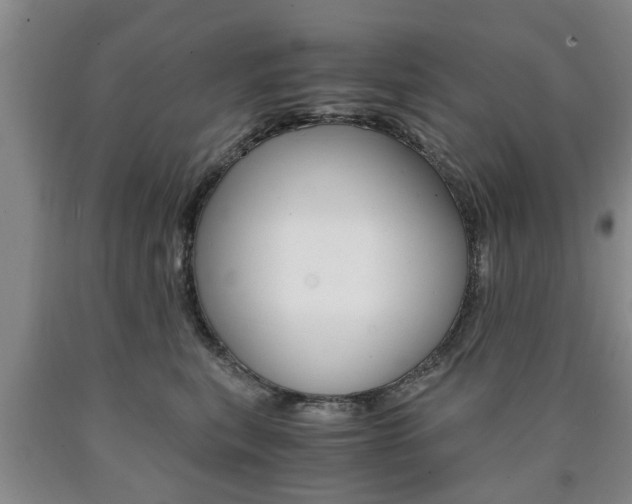 X0000090860567200707270936
