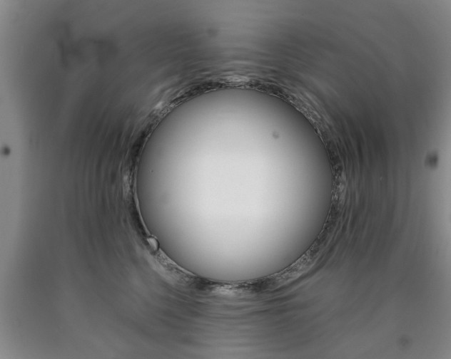 X0000090860568200707270936