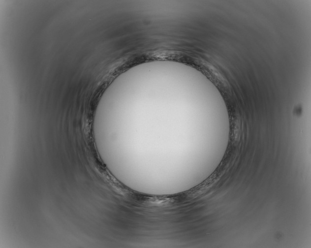 X0000090860569200707270936