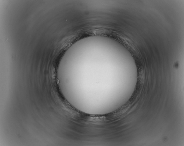 X0000090860571200707270936