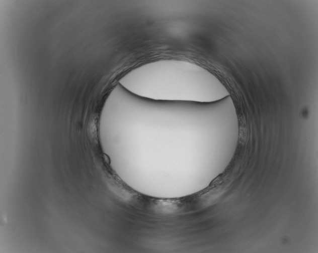 X0000090860573200707270936
