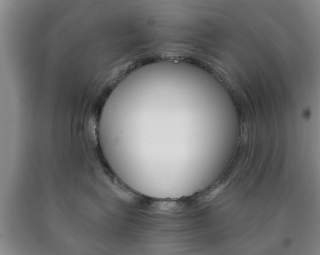 X0000090860575200707270936