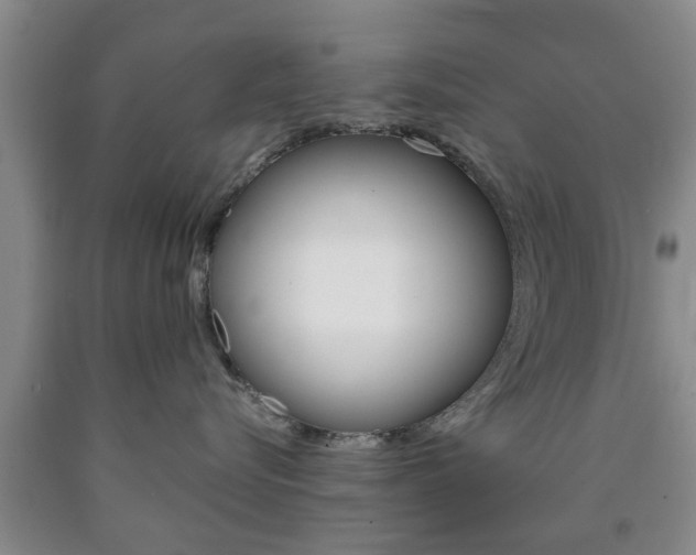 X0000090860576200707270936