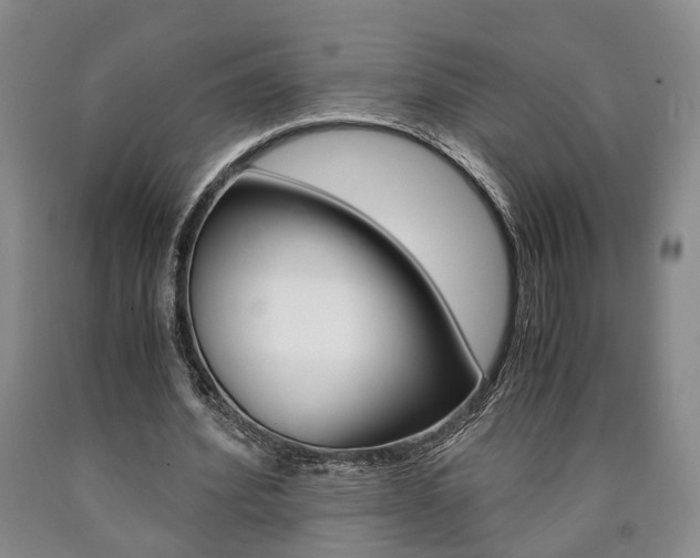 X0000090860580200707270935