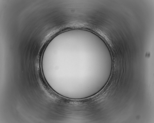 X0000090860582200707270935