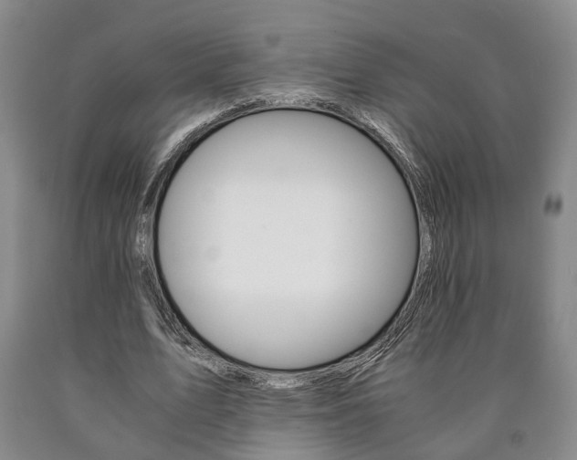 X0000090860583200707270935