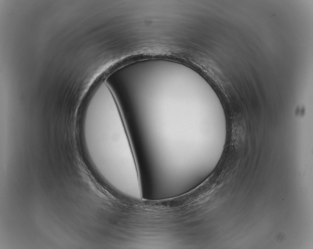 X0000090860584200707270935