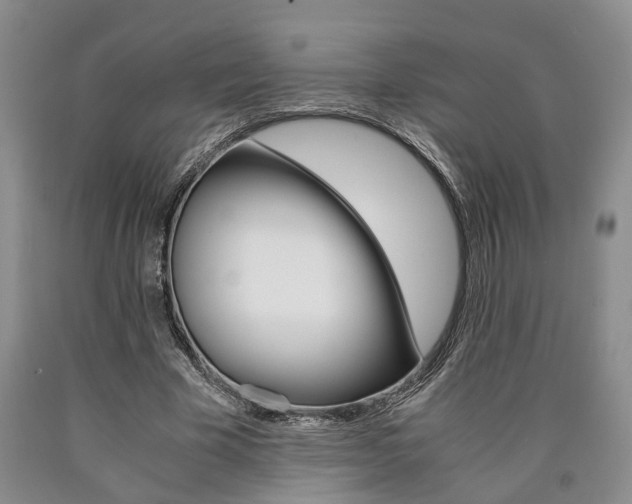 X0000090860585200707270935