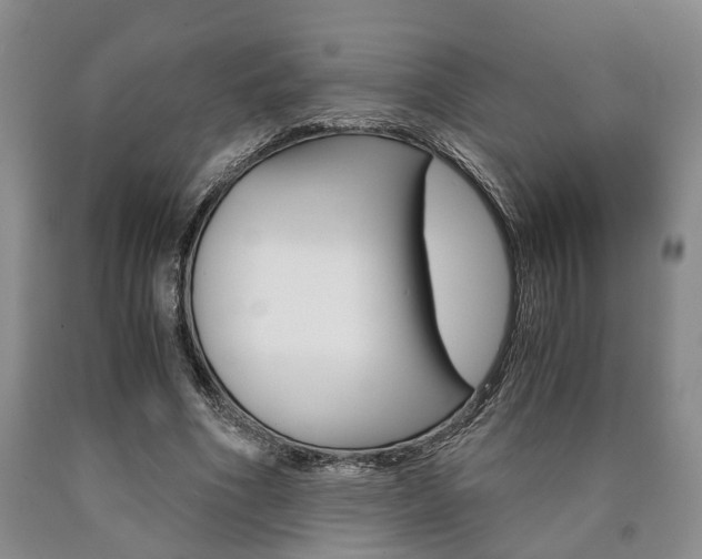 X0000090860586200707270935