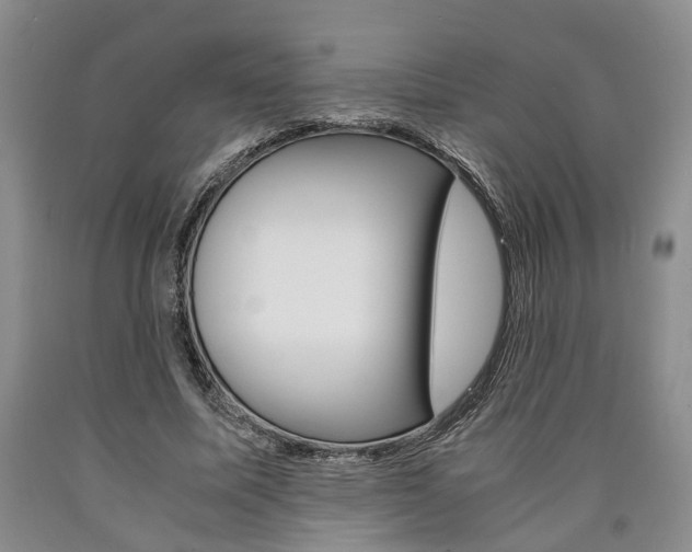 X0000090860587200707270935