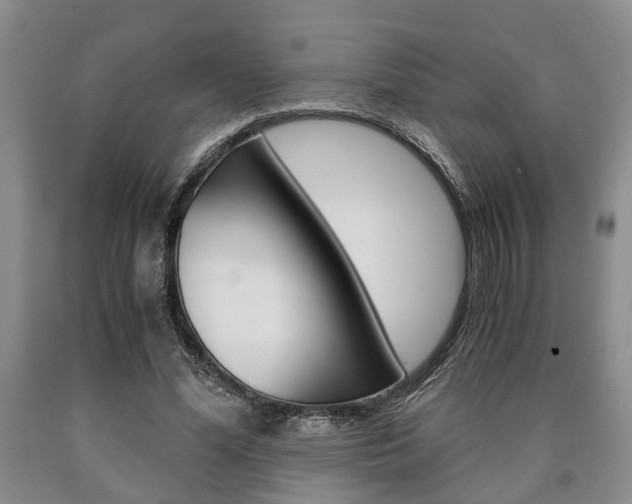 X0000090860588200707270935