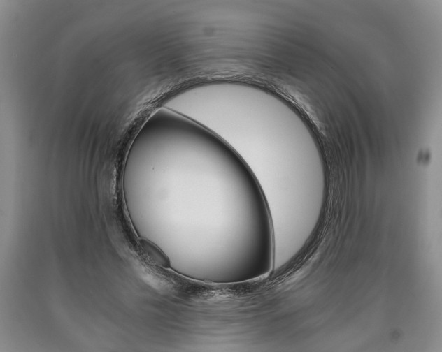 X0000090860589200707270935