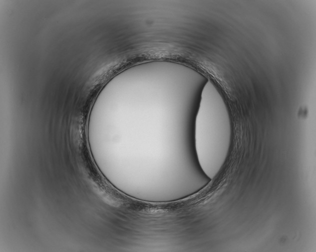 X0000090860590200707270935