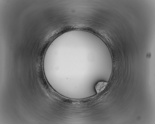 X0000090860591200707270935