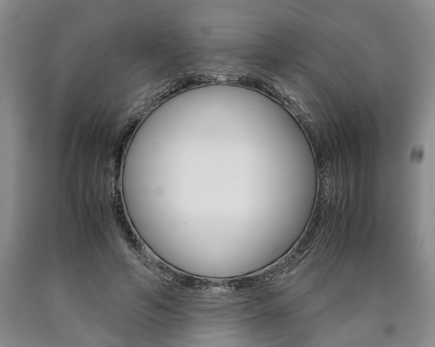 X0000090860594200707270935