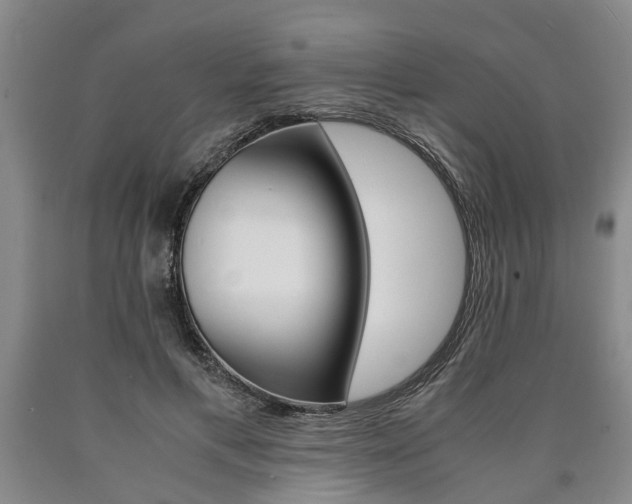 X0000090860597200707270935