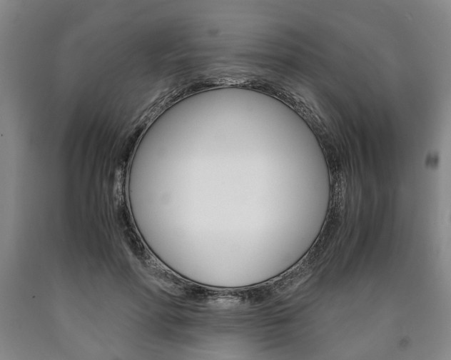 X0000090860598200707270935