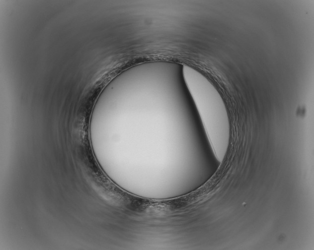 X0000090860599200707270935