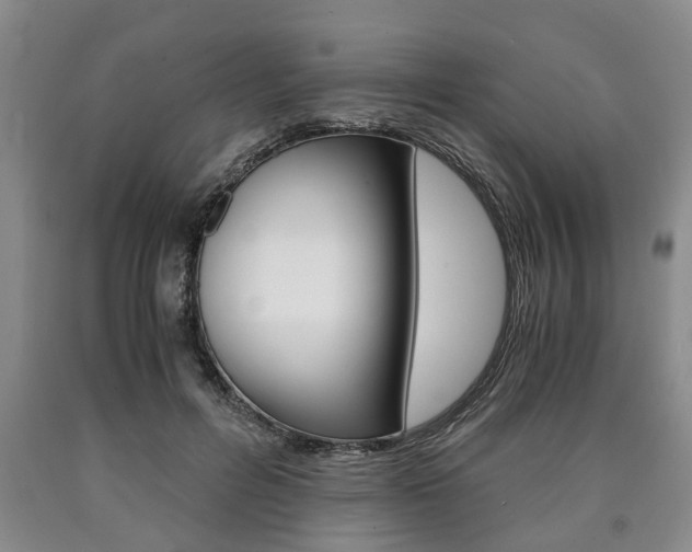 X0000090860600200707270935