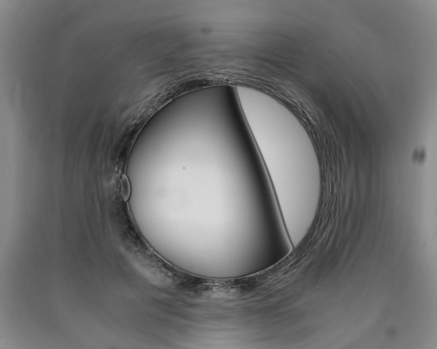 X0000090860601200707270935