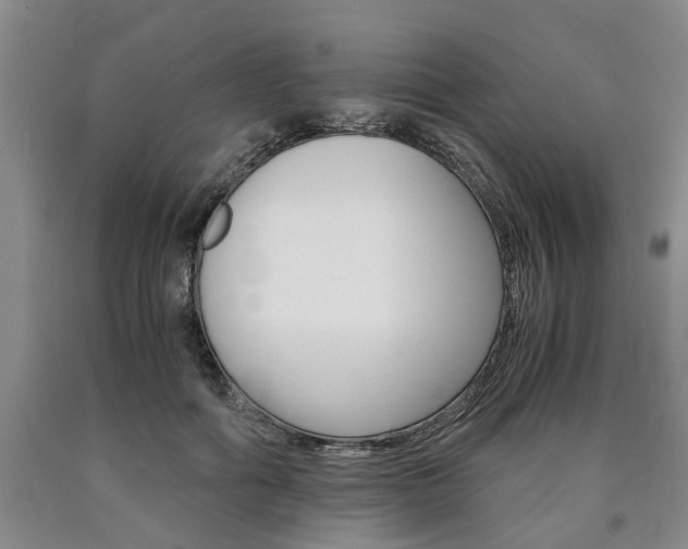 X0000090860602200707270935